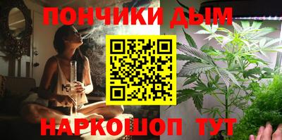 крисы Кимры