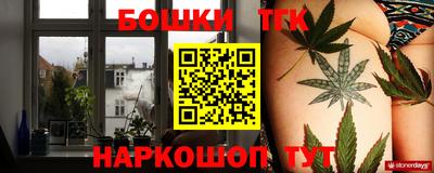 прущий лед Кингисепп