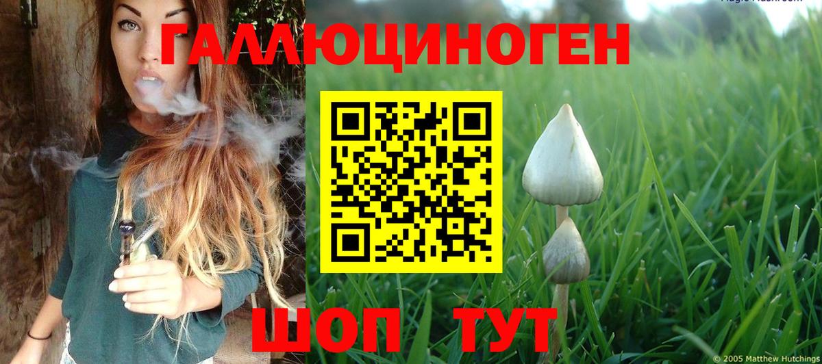 Псилоцибиновые грибы прущие грибы  Вход с VPN  Королёв 